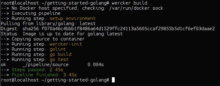 Wercker CLI build