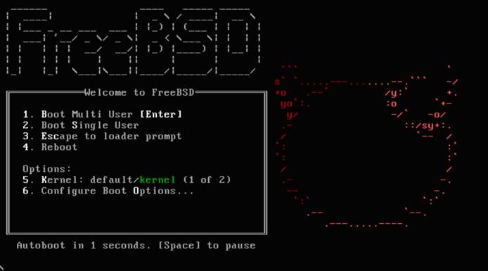 FreeBSD welcome. FreeBSD welcome.