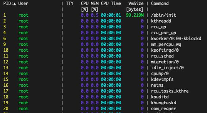 adding a new field to the procs display adding a new field to the procs display